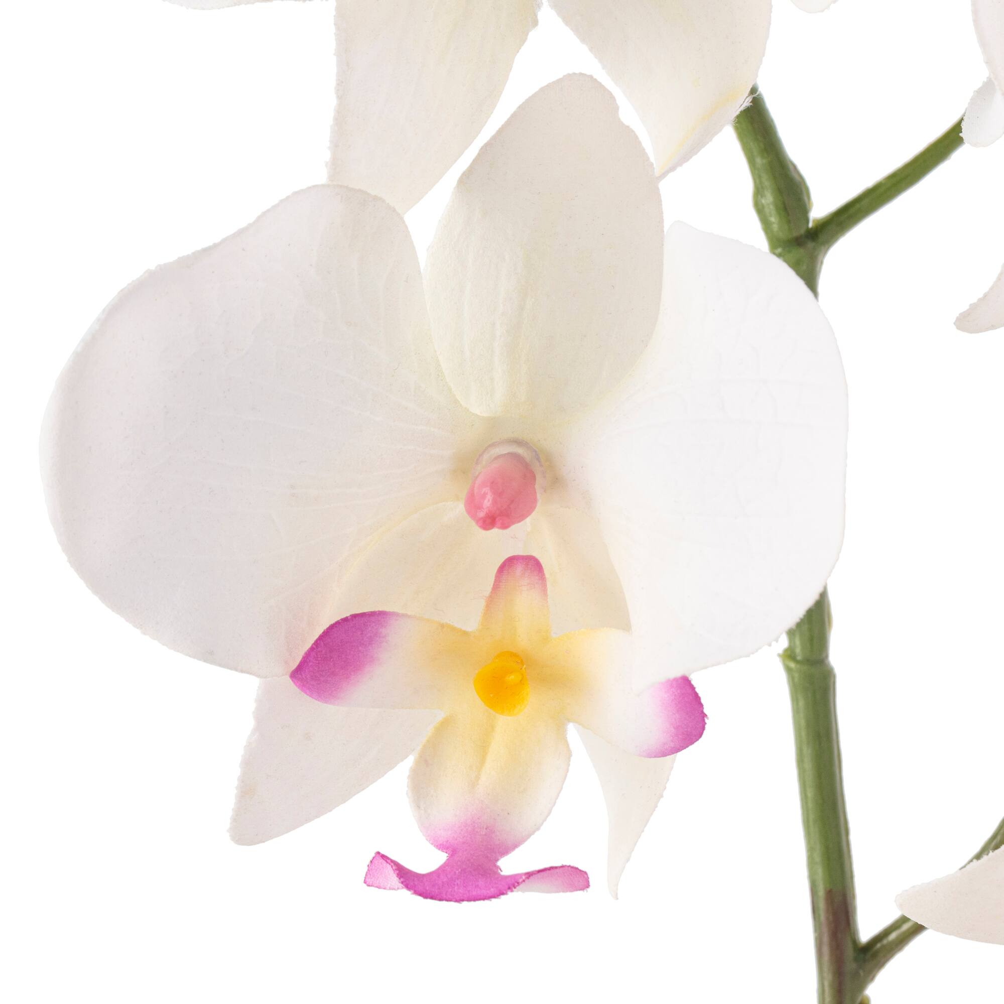 12 Pack: Cream & Pink Orchid Spray by Ashland®